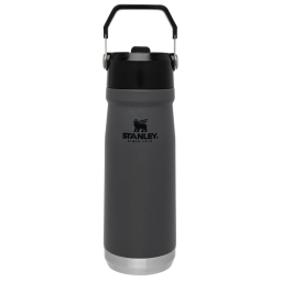STANLEY Botella Caramaola Termica Flip Straw 650ml Gris osc