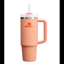 STANLEY Adv. 30OZ Qnchr Nectarine (Naranja) 10-11825-267