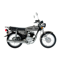 ZANELLA SAPUCAI 125 CC GRIS-NARDO
